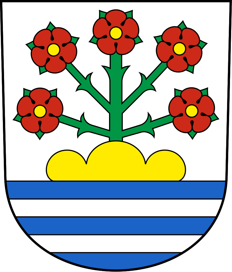 Umzugsfirma Rorschacherberg