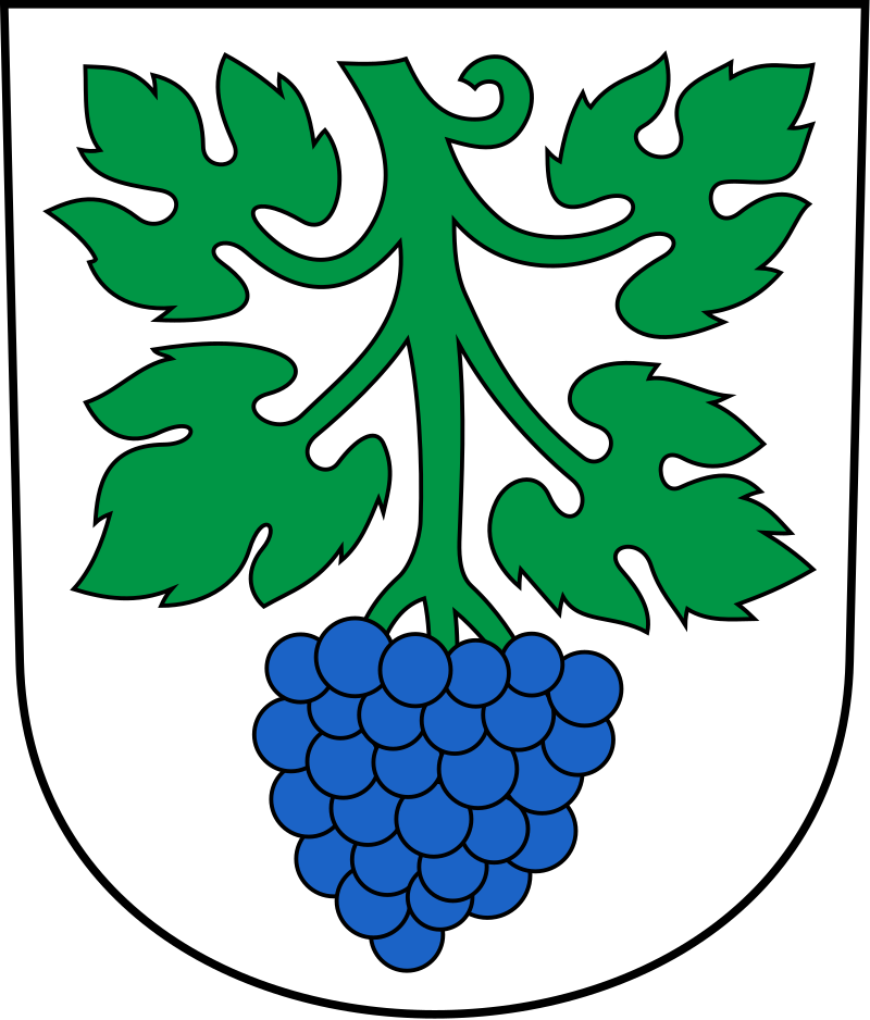 Umzugsfirma St. Margrethen